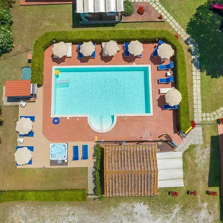 Il Pino - Alloro