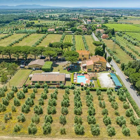Il Pino - Alloro *