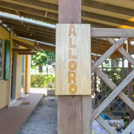 Il Pino - Alloro